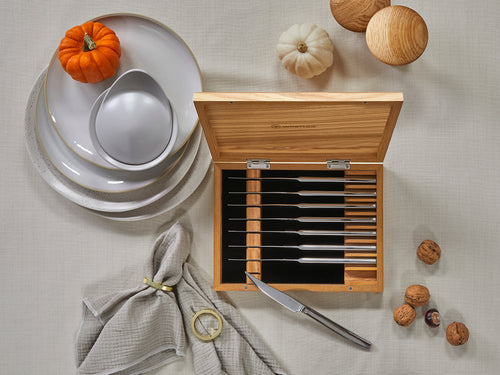 8-Piece Stainless Mignon Steak Knife Set